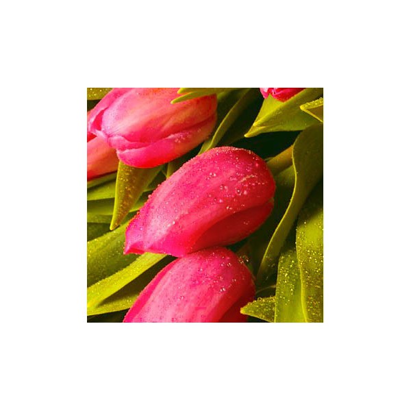 Марсель - букет из розовых тюльпанов 